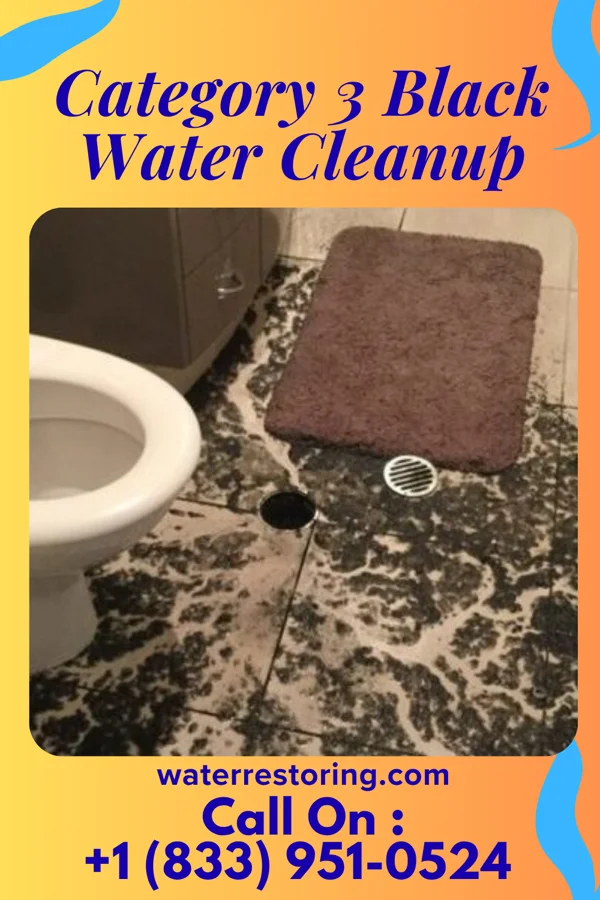 Category 3 Black Water Cleanup in Reeds, MO